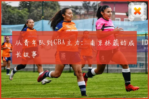 从青年队到CBA主力：南京林葳的成长故事