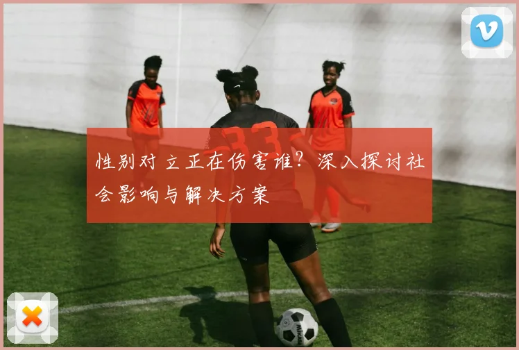 性别对立正在伤害谁？深入探讨社会影响与解决方案