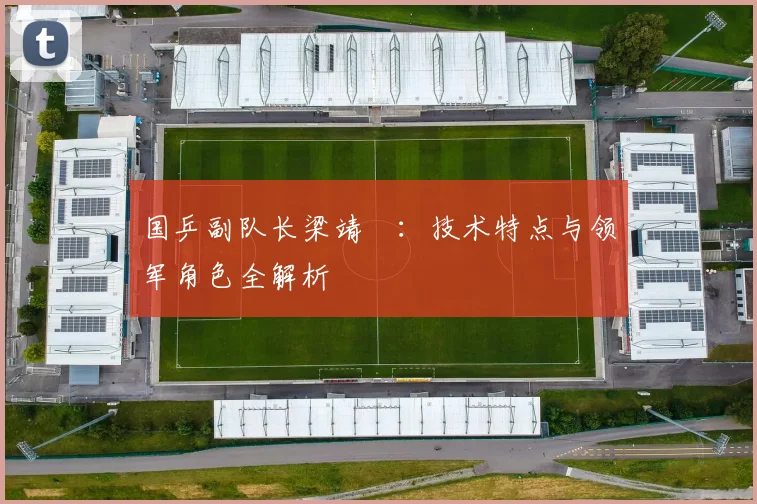国乒副队长梁靖崑:技术特点与领军角色全解析
