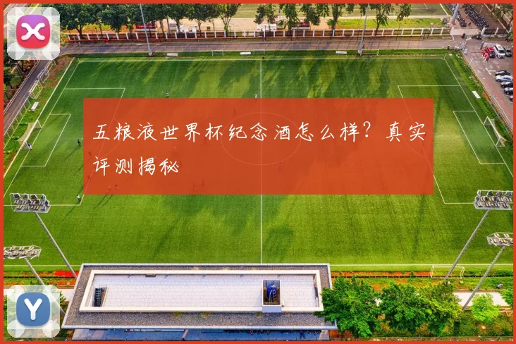 五粮液世界杯纪念酒怎么样？真实评测揭秘